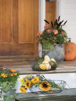 Galvanized Rim Planters 11 Galvanized Rim Planters -Garden Shop 8597379 1625 tif