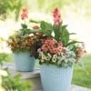 Weave Self-Watering Round Planter, 14" -Garden Shop 8597388 2165 tif