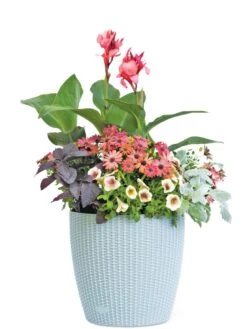 Weave Self-Watering Round Planter, 14" -Garden Shop 8597388 2175 tif