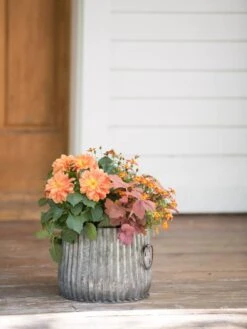 Galvanized Ribbed Planters -Garden Shop 8597434 1695 tif