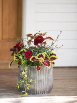 Galvanized Ribbed Planters -Garden Shop 8597435 1693 tif