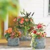 Galvanized Ribbed Planters -Garden Shop 8597436 1680 tif