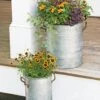 Galvanized Rim Planters -Garden Shop 8597442 1700 tif