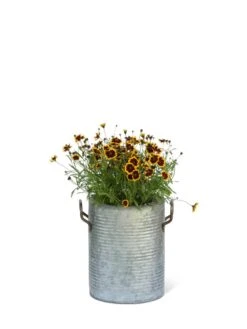 Galvanized Rim Planters 12 Galvanized Rim Planters -Garden Shop 8597442 1705 tif