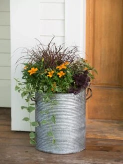 Galvanized Rim Planters 10 Galvanized Rim Planters -Garden Shop 8597443 1708 tif