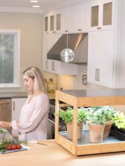 Low Bamboo LED Grow Light Garden -Garden Shop 8597720 0816 tif