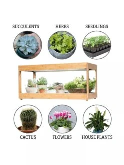 Low Bamboo LED Grow Light Garden -Garden Shop 8597720 3