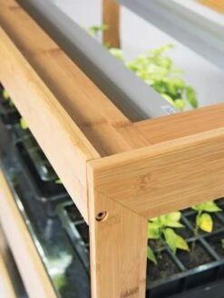 Medium Bamboo LED Grow Light Garden -Garden Shop 8597720 7795 tif