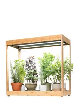 Medium Bamboo LED Grow Light Garden -Garden Shop 8597883 1011 tif
