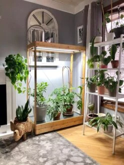 Tall Bamboo LED Grow Light Garden 14 Tall Bamboo LED Grow Light Garden -Garden Shop 8597884 01IN tif