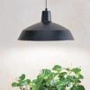 Barnyard Pendant LED Grow Light -Garden Shop 8598025 8139 tif