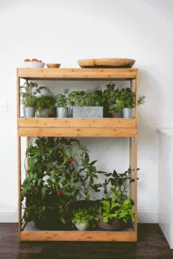 Bamboo Home LED Grow Light Garden -Garden Shop 8598088 BambooLEDHomeGarden light gif