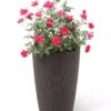 Weave Self-Watering Round Tall Planter, 12-1/2" 2 Weave Self-Watering Round Tall Planter, 12-1/2" -Garden Shop 8598371 3000 tif