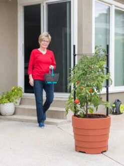 Gardener’s Victory Self-Watering Planter With Support System -Garden Shop 8598384 6011 tif