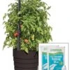 Gardener’s Victory Self-Watering Planter Garden Kit 2 Gardener’s Victory Self-Watering Planter Garden Kit -Garden Shop 8598389 5000 tif