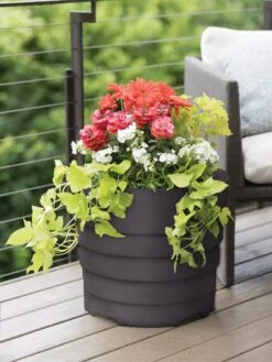Gardener’s Victory Self-Watering Patio Planter -Garden Shop 8598395 88593 tif