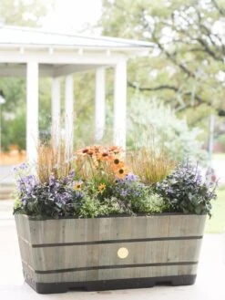 VegTrug™ Trough Planters 16 VegTrug™ Trough Planters -Garden Shop 8598402 08880 tif