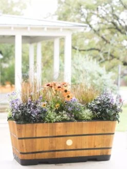 VegTrug™ Trough Planters 14 VegTrug™ Trough Planters -Garden Shop 8598402 8880 tif