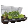 Vegepod Raised Garden Beds -Garden Shop 8598931 02V