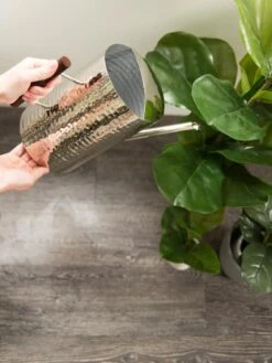 Stainless Steel Watering Can -Garden Shop 8599057 14322 tif