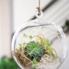 Floating Orb Terrarium Kit -Garden Shop 8599146 02v floating orb glass terrarium kit