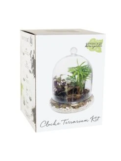 Cloche Terrarium Kit Medium 8 Cloche Terrarium Kit Medium -Garden Shop 8599148 01v