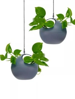 Exaco Euro Hanging Planters, Set Of 2 -Garden Shop 8599179 04V tif