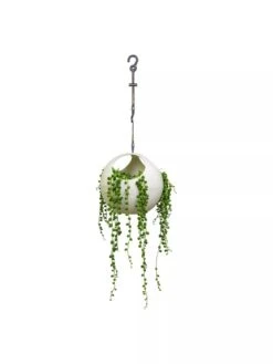 Exaco Euro Hanging Planters, Set Of 2 -Garden Shop 8599179 06V tif