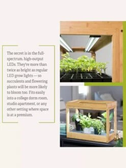 Bamboo Mini LED Grow Light Garden 19 Bamboo Mini LED Grow Light Garden -Garden Shop 8599624 06