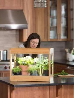 Bamboo Mini LED Grow Light Garden 14 Bamboo Mini LED Grow Light Garden -Garden Shop 8599624 12532 tif