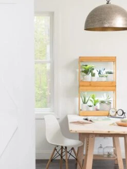 Bamboo Mini LED Grow Light Garden 15 Bamboo Mini LED Grow Light Garden -Garden Shop 8599624 13244 tif