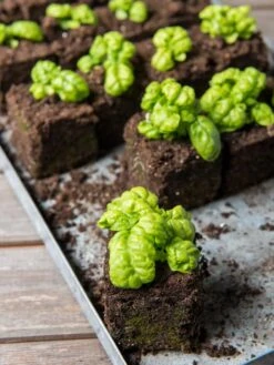 Soil Blocker, 4 Cell -Garden Shop 8599790 1057 tif