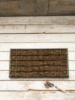 Paper Pots, 50 Cell 12 Paper Pots, 50 Cell -Garden Shop 8599830 18489 tif