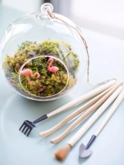 Terrarium Tools, Set Of 4 -Garden Shop 8599884 01V tif