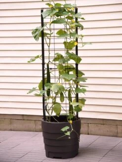 Gardener’s Victory Self-Watering Planter Garden With Vine Trellis 11 Gardener’s Victory Self-Watering Planter Garden With Vine Trellis -Garden Shop 8600177 9876 tif 1