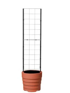 Gardener’s Victory Self-Watering Planter With Vine Trellis -Garden Shop 8600178 7000 tif