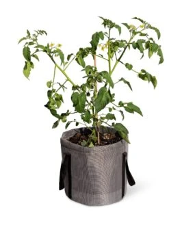 Reinforced Colorful Grow Bags 13 Reinforced Colorful Grow Bags -Garden Shop 8600229 0944 tif