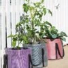Reinforced Colorful Grow Bags -Garden Shop 8600229 19957 tif