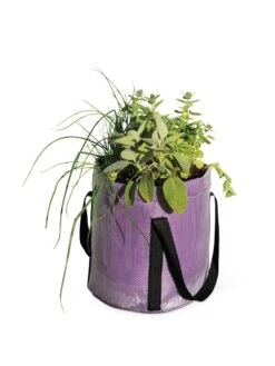 Reinforced Colorful Grow Bags 10 Reinforced Colorful Grow Bags -Garden Shop 8600230 0948 tif