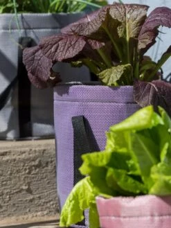 Reinforced Colorful Grow Bags 11 Reinforced Colorful Grow Bags -Garden Shop 8600230 20013 tif