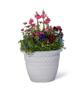 Cortina Self-Watering Planters -Garden Shop 8600316 19838 tif