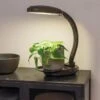 Agrobrite Desktop LED Plant Lamp -Garden Shop 8608871 0345 tif