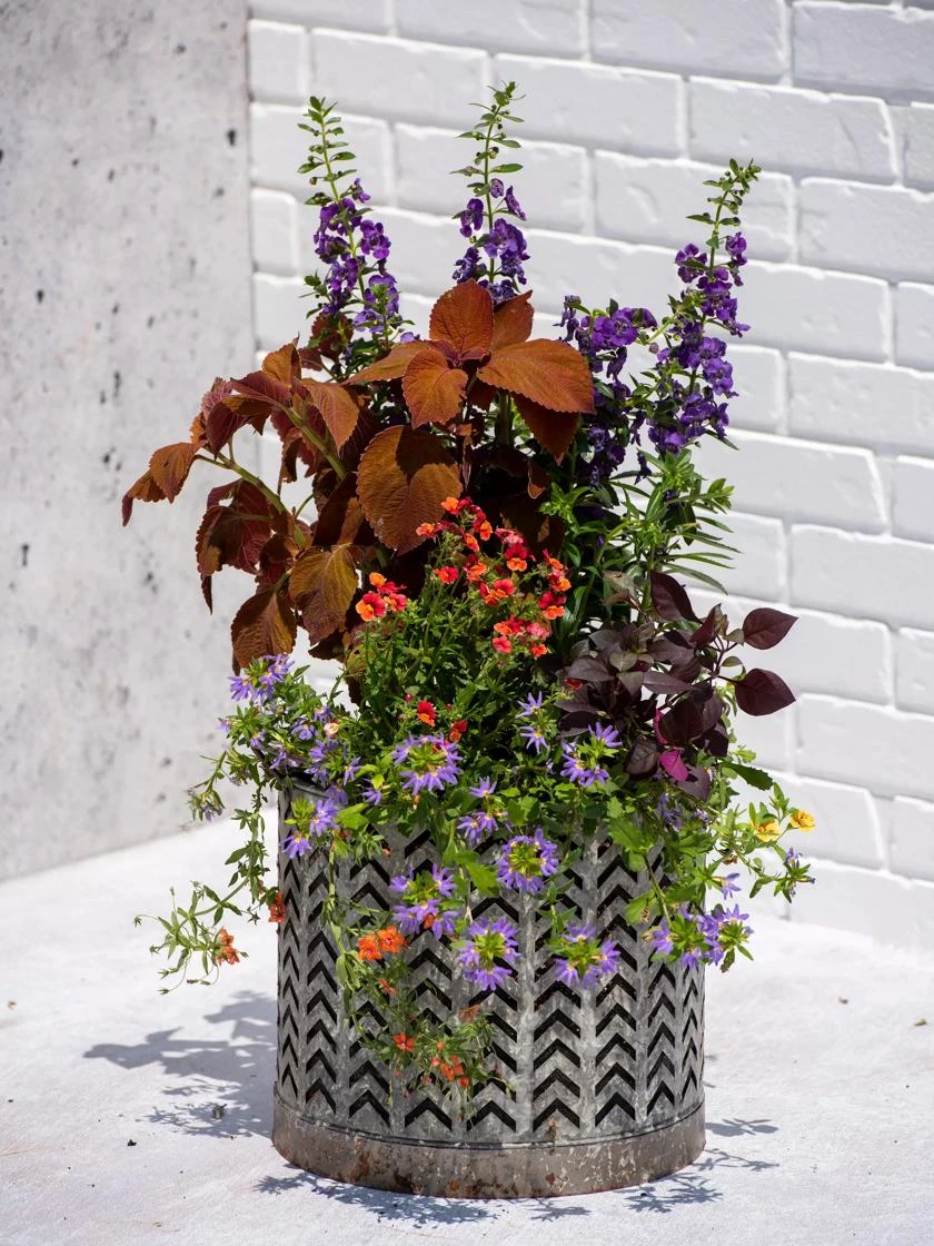 Galvanized Grow Bag Planter 12" 3 Galvanized Grow Bag Planter 12"