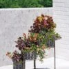 Galvanized Grow Bag Triple Planters With Stand -Garden Shop 8609180 0346 tif