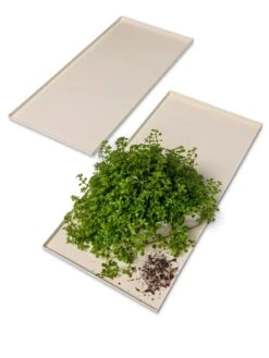 Oslo Grow Light Garden Trays, Set Of 2 -Garden Shop 8609187 7686 tif
