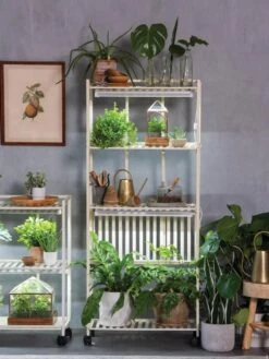 Oslo 4-Tier LED Grow Light Garden 19 Oslo 4-Tier LED Grow Light Garden -Garden Shop 8609188 4118 tif