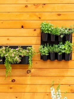 8 Pot Metal Wall Planter 9 8 Pot Metal Wall Planter -Garden Shop 8609195 6250 tif