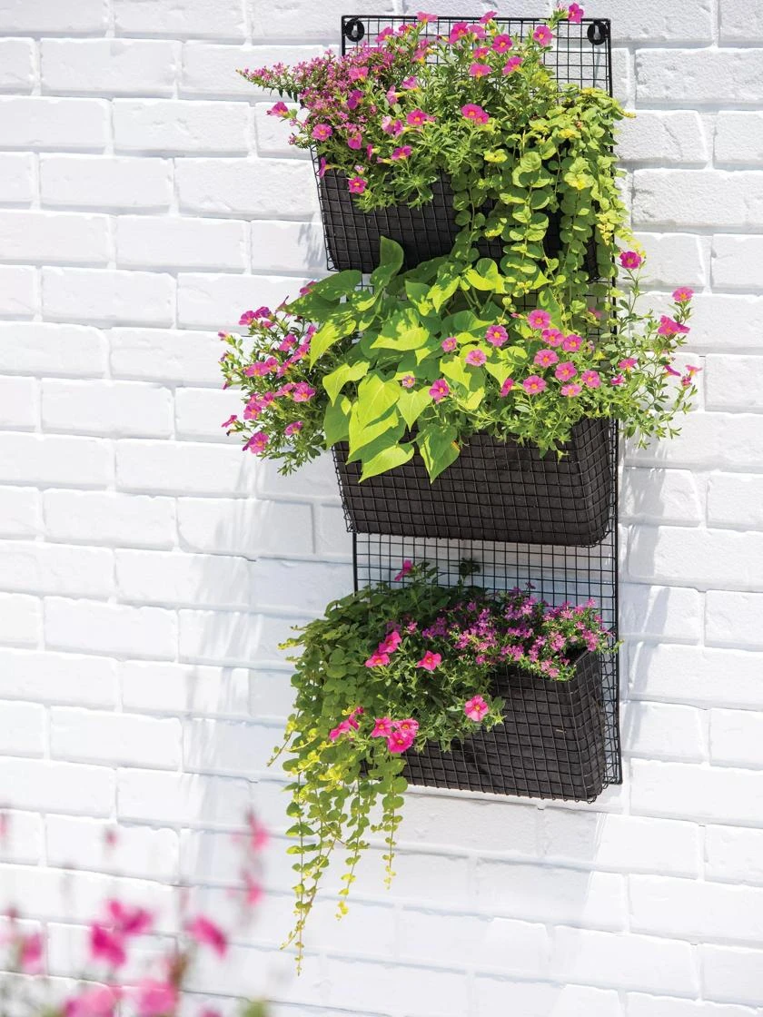 Wire Wall Pockets Vertical Gardens 3 Wire Wall Pockets Vertical Gardens