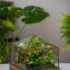 Art Decco Copper And Glass Terrariums 1 Art Decco Copper And Glass Terrariums -Garden Shop 8609210 0318 tif