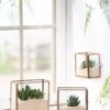 Copper And Glass Terrariums, Set Of 3 -Garden Shop 8609212 2964 tif